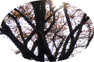 �e�A�C�e�g�X