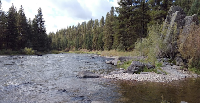 �����^�i�B�u���b�N�t�b�g��