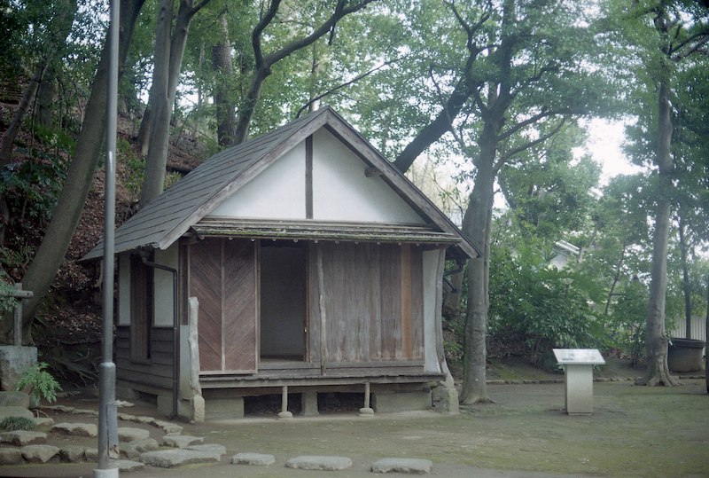 �䑷�q�̋��u�꒼�Ɠ@��