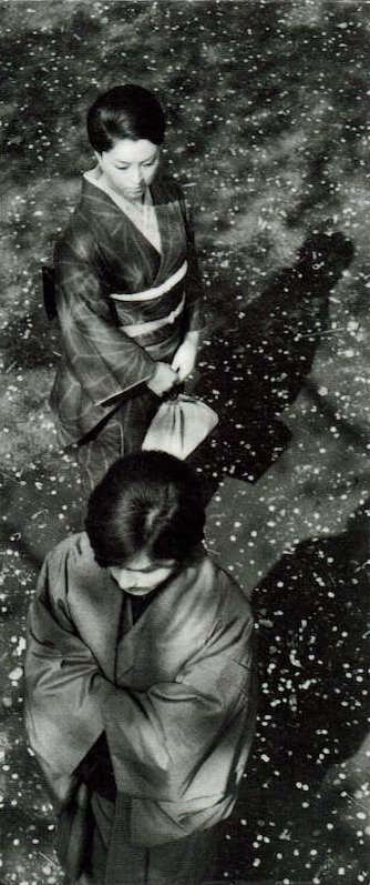 ���D ���c�从q