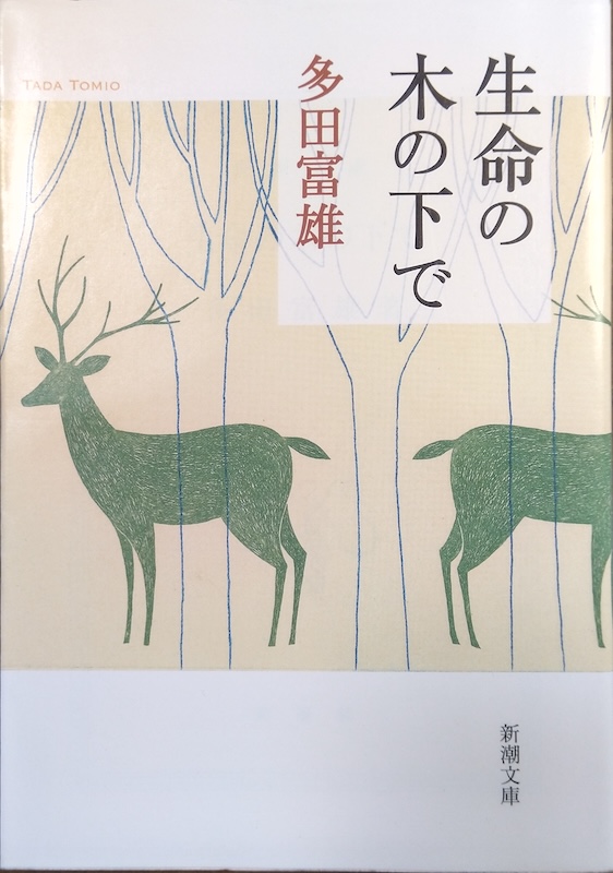 �����̖؉���