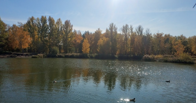 �I���X�N �C���g�C�V����