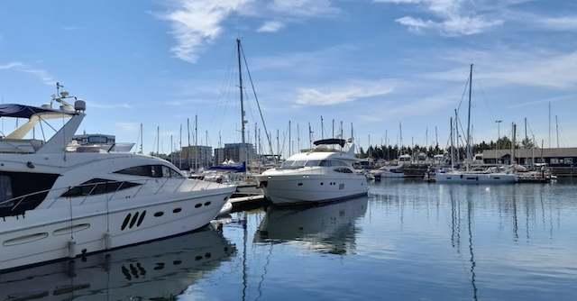 �C�v�X�E�B�b�`�̉͌��߂��̍`