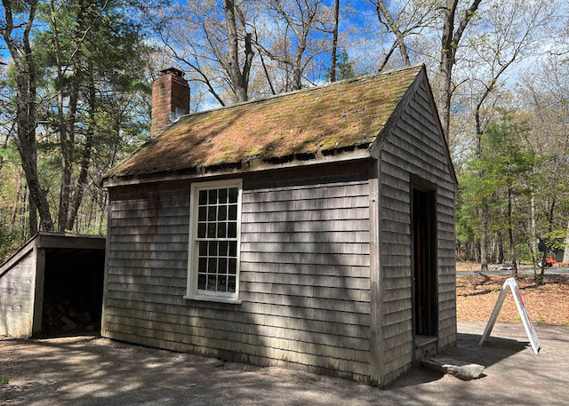 �\�[���[�̏���