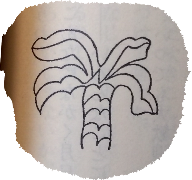 �C�O�h���V��